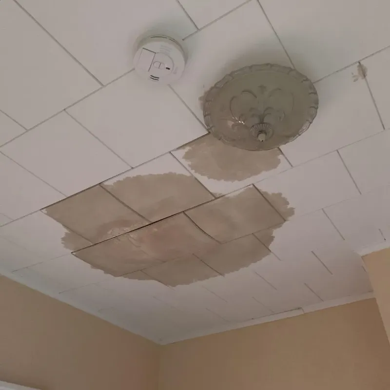 Ceiling Water Damage Repair in Evadale, TX