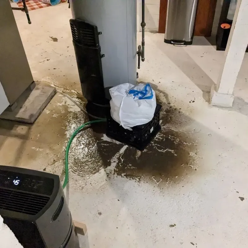 Sewage Backup Cleanup Service in Evadale, TX